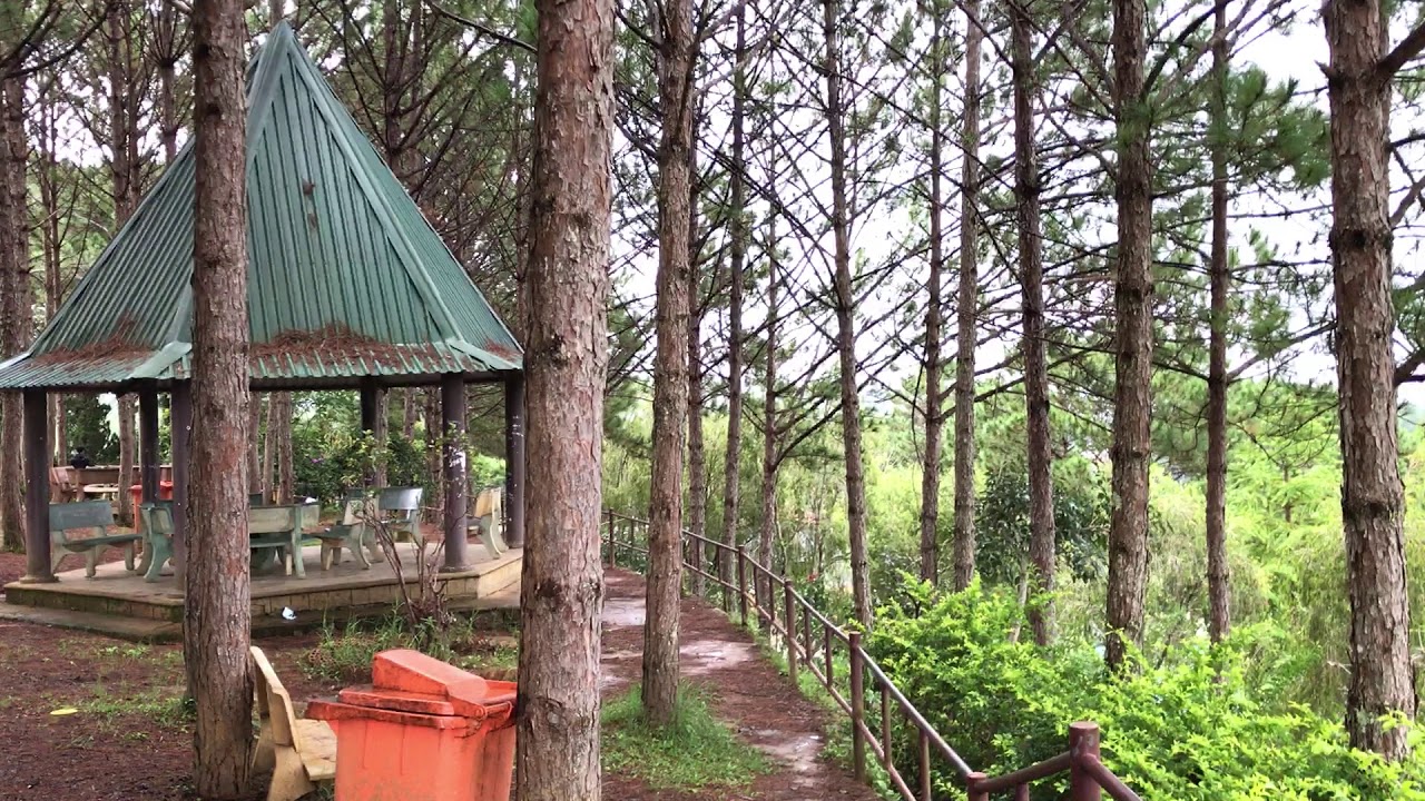 Giới thiệu : Những đặc điểm cần thuyết minh khi đi tour Tây Nguyên nói chung là Đà Lạt nói riêng …