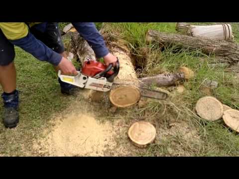 Baumr ag SX62cc chainsaw ported