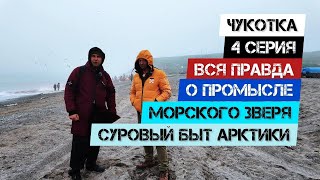 Чукотка - Серия 4.  Вся правда о промысле морского зверя. Суровый быт Арктики.