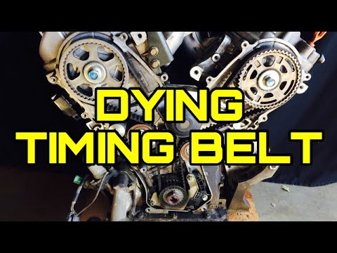 How to tell if your Timing Belt has been Changed | Is Going Bad or needs to be Replaced