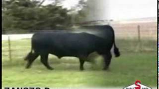 Danny_xvid.avi
