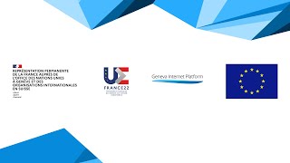 AI and E-commerce in 2024: issues, actors and controversies