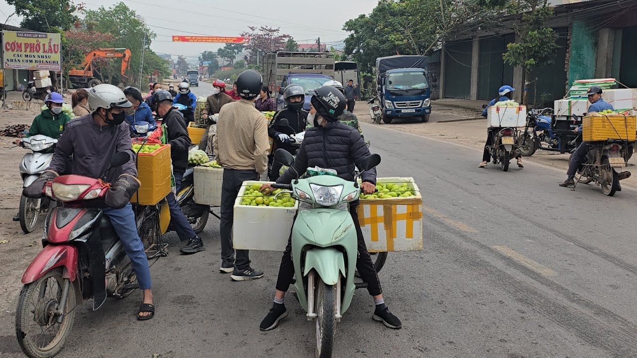 CẬP NHẬP GIÁ TÁO HÔM NAY TẠI CẦU CHÉT NHỘN NHỊP 