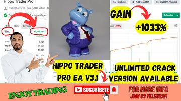 Hippo Trader Pro EA V3.1 Review | Best MT4 Forex EA 2025 | Auto Trading Bot|