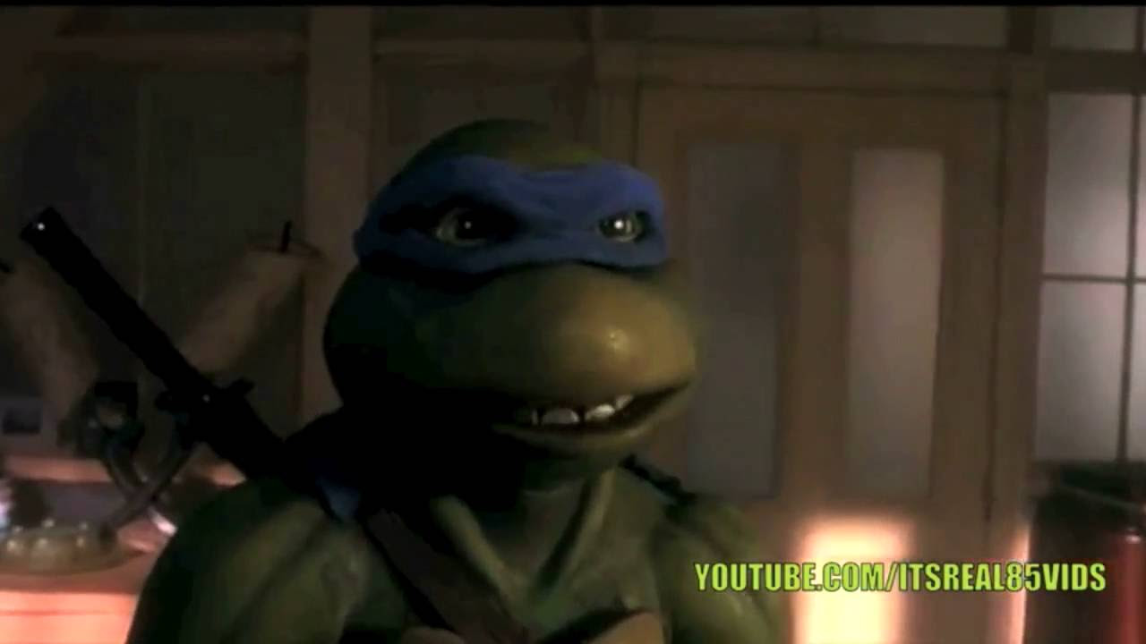Nigga Turtles Episode  1