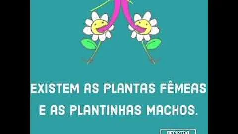 O que as abelhas produzem além do mel com a letra C?