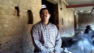 Baldev raj katyal a progressive dairy farmer in haryana