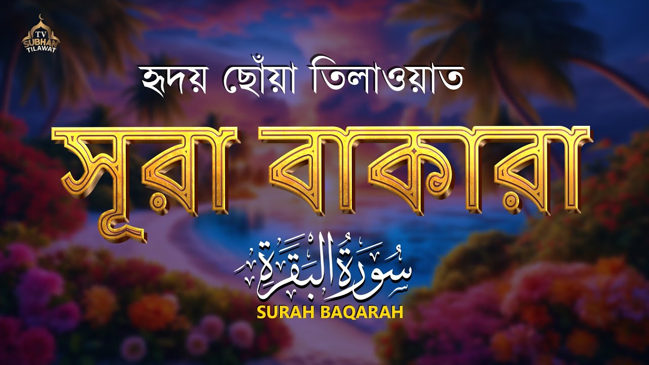 🌿 পৃথিবীর সবচেয়ে আবেগময় সুরা বাকারা তেলাওয়াত | Surah Al Baqarah (سورة البقرة) by Alaa Aqel 🎧