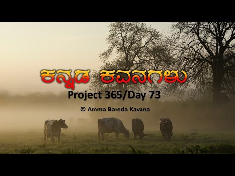 Kannada Kavanagalu - Project 365/Day 73