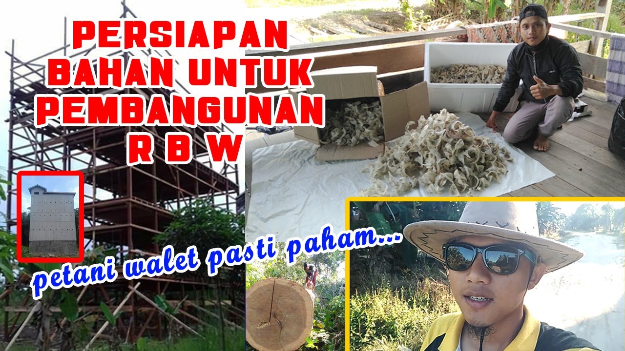 Persiapan BAHAN untuk Pembangunan Rumah Burung Walet ...