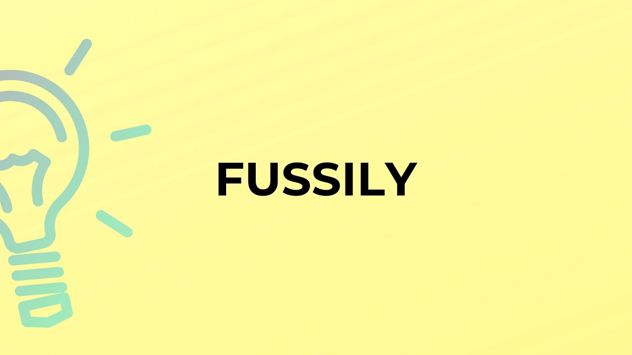What is the meaning of the word FUSSILY? YouTube