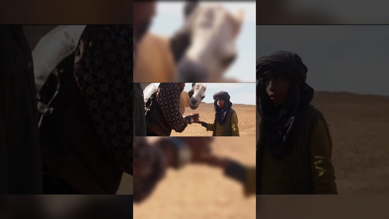 У мальчика самый дорогой верблюд в мире 💫 