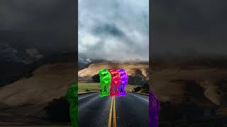 Dinosaur Ding Ding Video Dinosaur Video Dinosaur Green Screen Video Dinosaur Hot Video