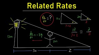 Calculus Related Rates - Shadow Problems
