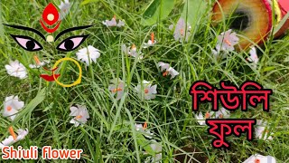 শিউলি ফুল | How to make shiuli flower