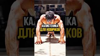 Калистеника для новичков? 🏠💪