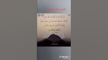 سورة الحشر للقارئ الشيخ ماهر المعيقلي