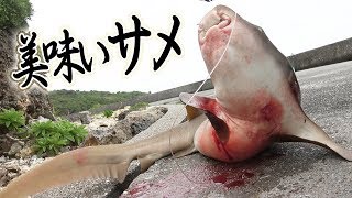 打ち込み竿を回収したらサメが！？[宮古GT狙い 6/6]