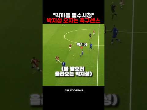 박까들 필수시청해야할 박지성 <strong>축구지능</strong>