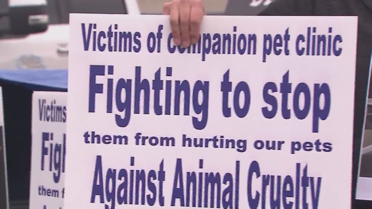 Companion Pet Clinic vet charged with aggravated animal abuse - YouTube
