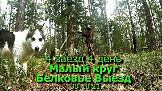 4 заезд Малый круг Белки Выезд 30 10 21