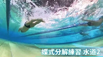 20251019 四式進階泳技訓練班 蝶式(配樂)課程 by 姜仲齊