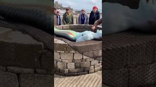 Unbelievable Mermaid Found Lying on an Old Stone Well 😱🧜‍♀️