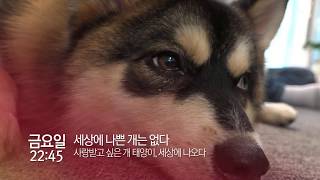 EBS 목, 금 프로그램 안내 (10월 1주)_SB