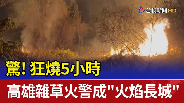 惊！狂烧5小时 高雄杂草火警成"火焰长城" - 天天要闻