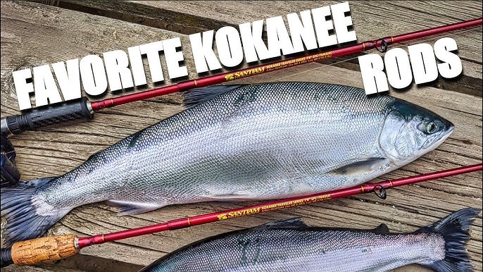 How Accurate and Consistent are Line Counters on Kokanee Reels 