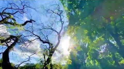 دعاء يوم الجمعه ...سورة الكهف نور مابين الجمعتين ...