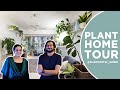 Beautiful plant home tour  mumbai home tour  plantvlog houseplants hometour