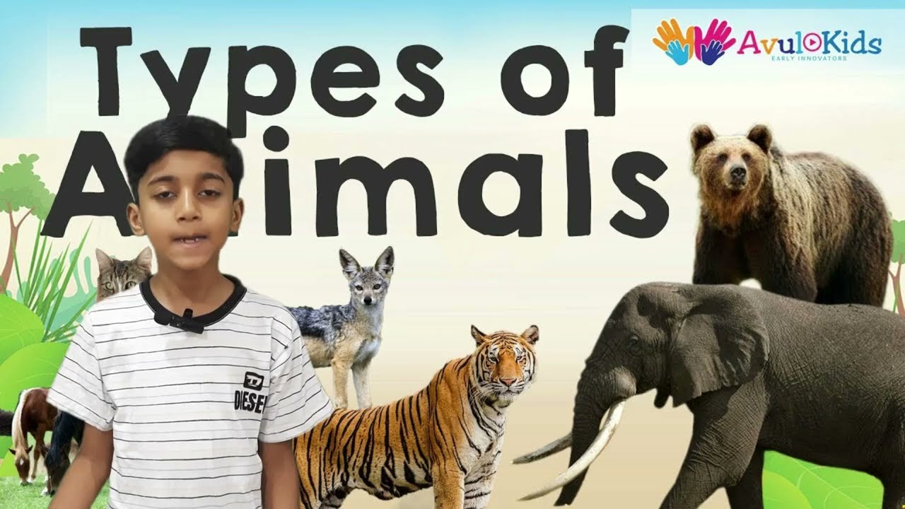 Types Of Animals According to Eating Habit | Herbivores| Carnivores| Omnivores | Insectivores| Awsal