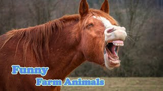 Try Not To Laugh Challenge - The Funniest Farm Animals 2020  | Funny Pet Videos