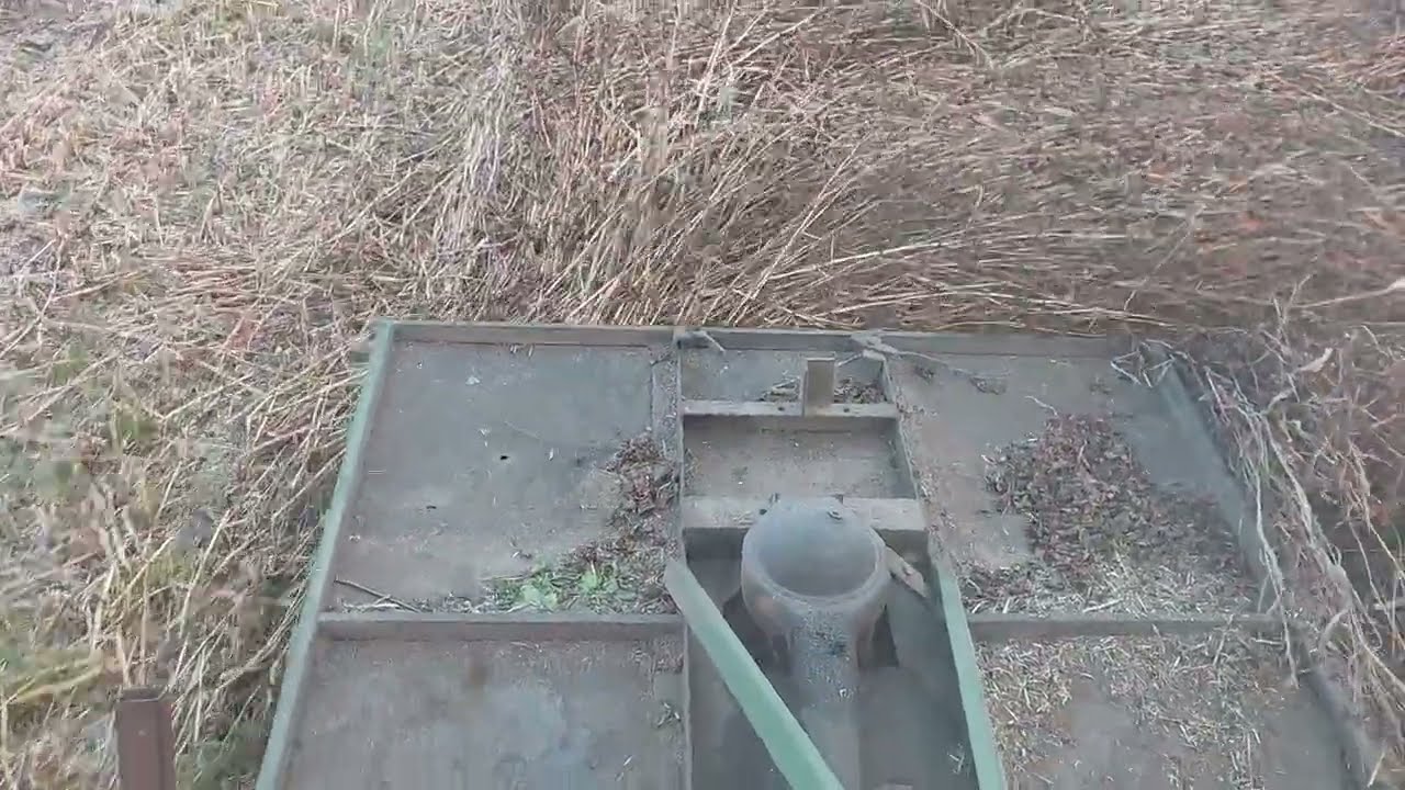 Гречка теж пішла під мульчер