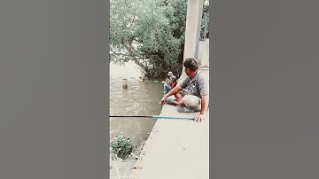 câu cá trên sông vàm cỏ