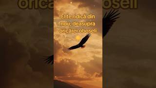 El te ridică din nou, deasupra oricărei oboseli ☀️ - Isaia 40:30-31