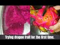 Dragon Fruit | Cutting Dragon Fruit