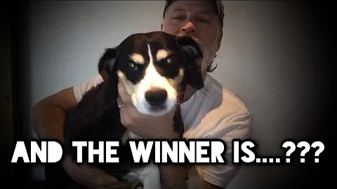 The Winner(s) of the Mark Twain Giveaway are....