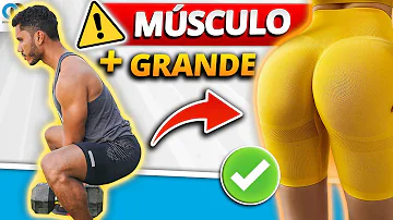 ¿Cuál es el músculo más grande del cuerpo?