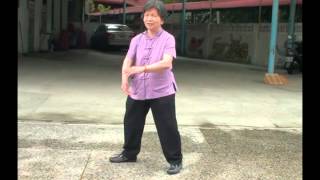 太極拳經-20120916-德穗里(4)
