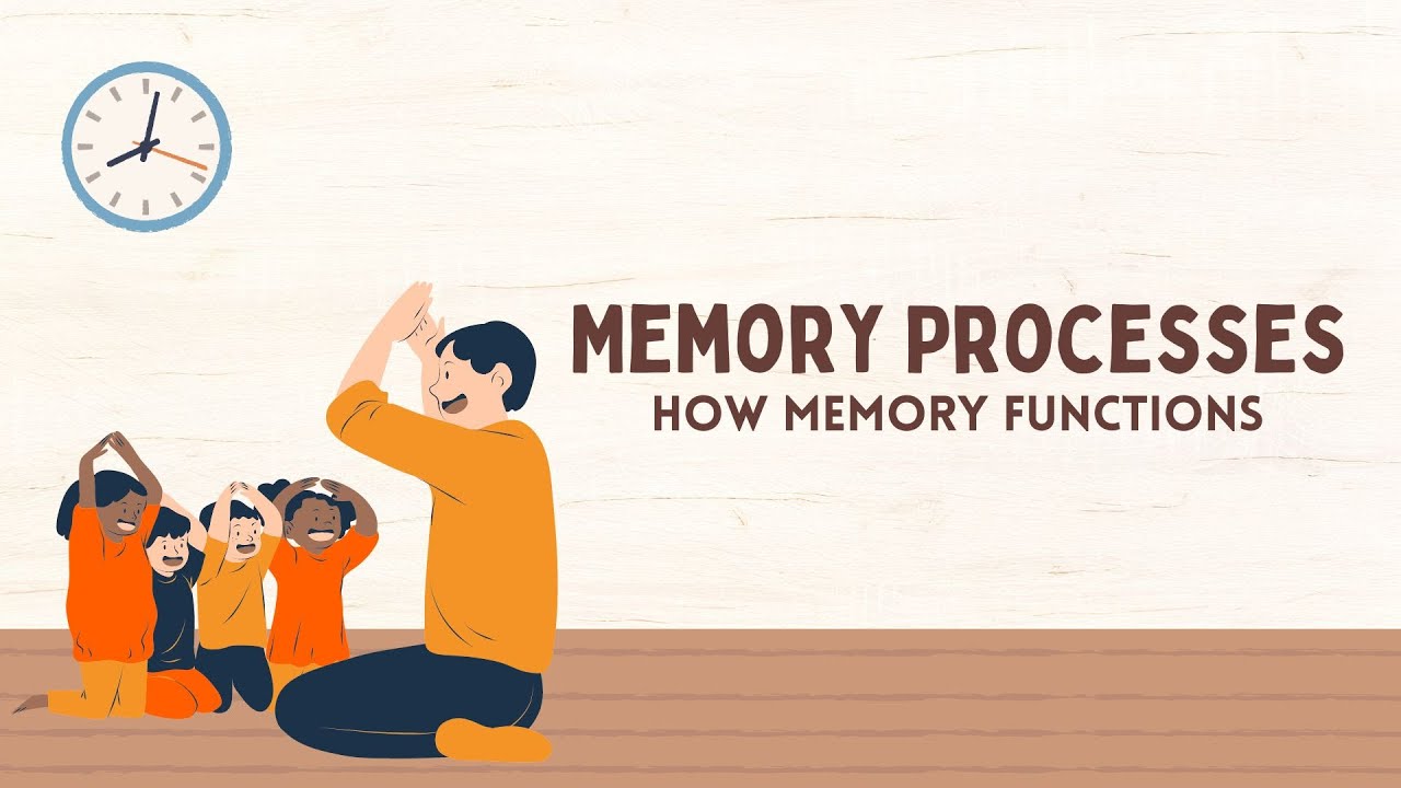 Memory Processes || How Memory Functions || tsin-eng - YouTube