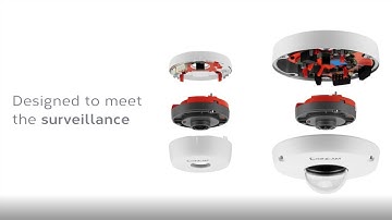 The C-Series: The C-08 vs the C-12