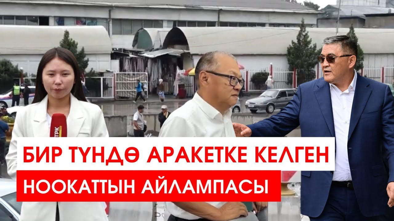 БИР ТҮНДӨ АРАКЕТКЕ КЕЛГЕН НООКАТТЫН АЙЛАМПАСЫ