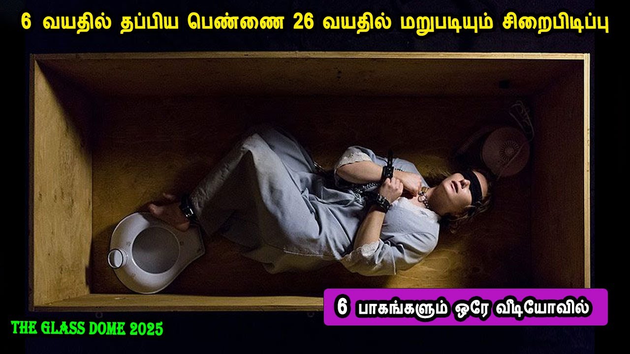 6 வயதில் தப்பிய பெண்ணை 26 வயதில் மறுபடியும் சிறைபிடிப்பு Hollywood TV series in mr tamilan voiceover