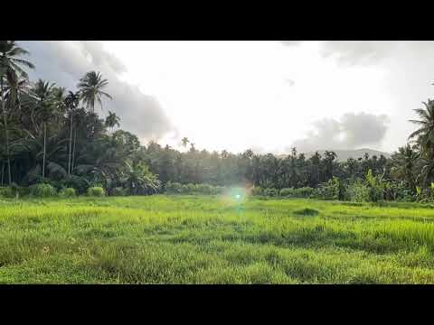 Time Laps - Nanminda - Edacheri - Kozhikode - YouTube