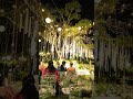 Beautiful wedding reception | 2026 | Stay Samara | Villoonni | Kottayam | Open area Reception
