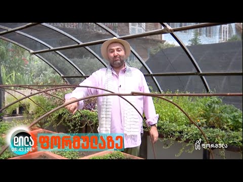 მრავალწლოვანი ყვავილების თესვის წესები