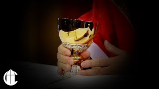 Catholic Mass Today: 4/25/24 | Feast of Saint Mark by The CatholicTV Network 14,294 views 2 weeks ago 28 minutes