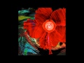 10 mins root chakra music